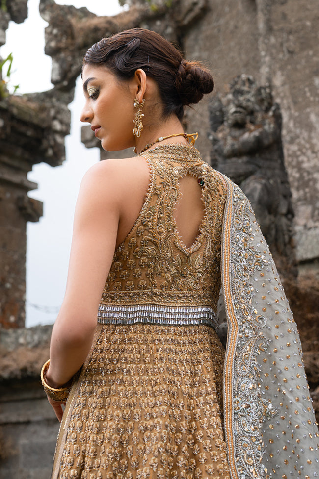 Pakistani Antique Gold & Grey Embroidered Organza Gown (3-Piece) - Image 3