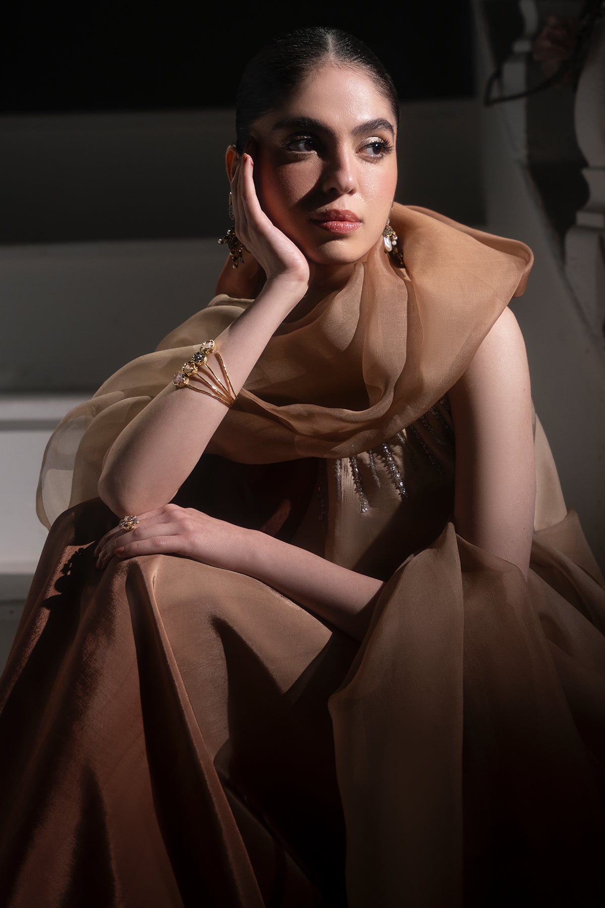 Pakistani Champagne to Cocoa Embellished Roman Silk Gown (2-Piece) - Image 5