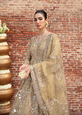 Pakistani Gold Hand-Embellished Net Silk Bridal Gown (2-Piece) - Image 3