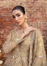 Pakistani Gold Hand-Embellished Net Silk Bridal Gown (2-Piece) - Image 6