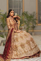 Pakistani Gold Zardozi Tissue Gown (2-Piece) - Image 6