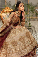 Pakistani Gold Zardozi Tissue Gown (2-Piece) - Image 7