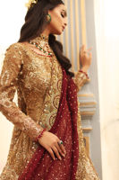 Pakistani Gold Zardozi Tissue Gown (2-Piece) - Image 8