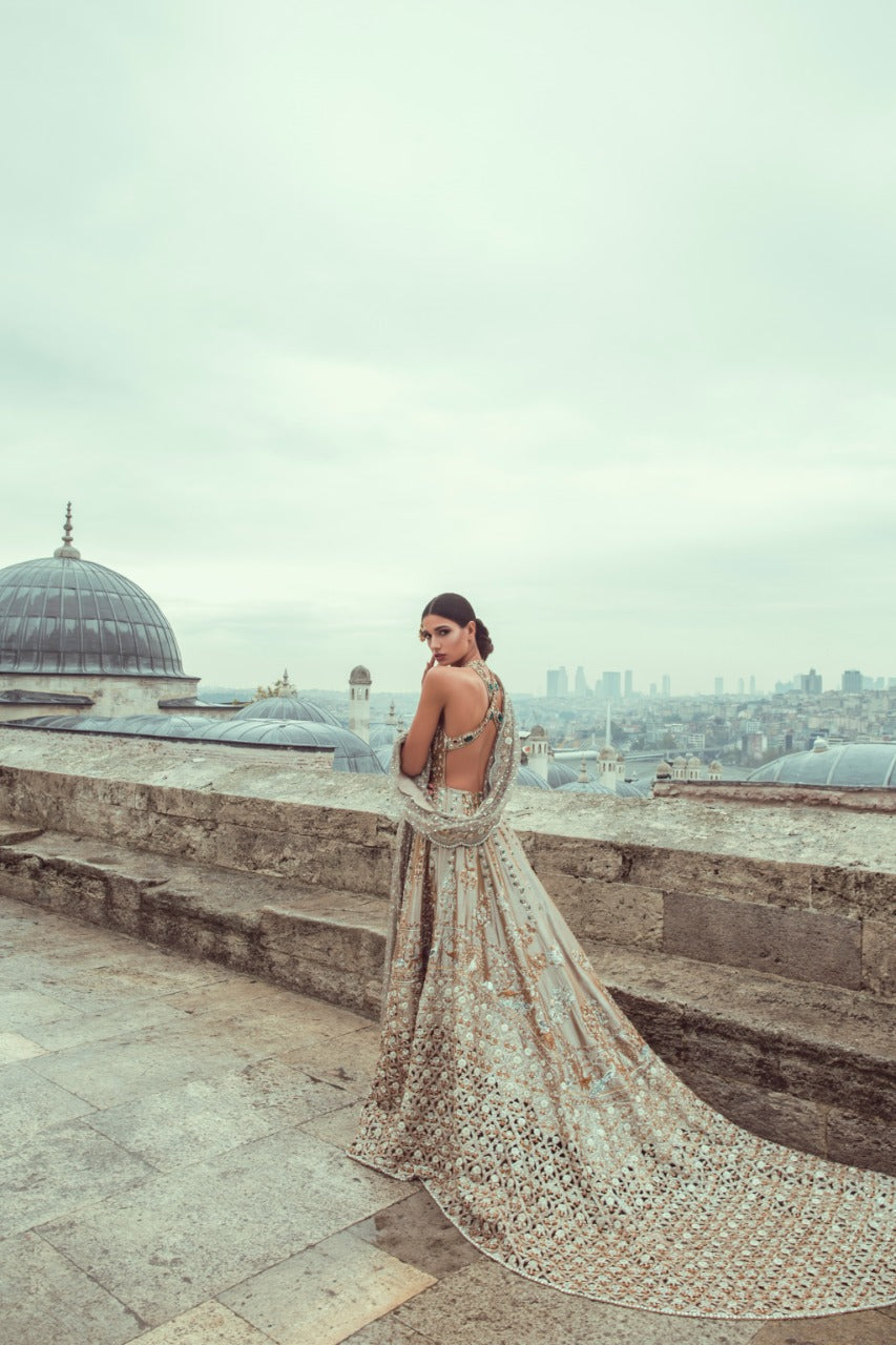 Gold Zardozi Cutwork Tissue Gown (2-Piece) - Image 3