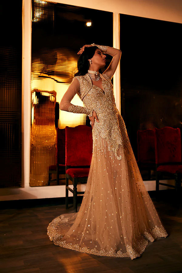 Champagne Zardozi Tulle Gown (2-Piece) - Image 1