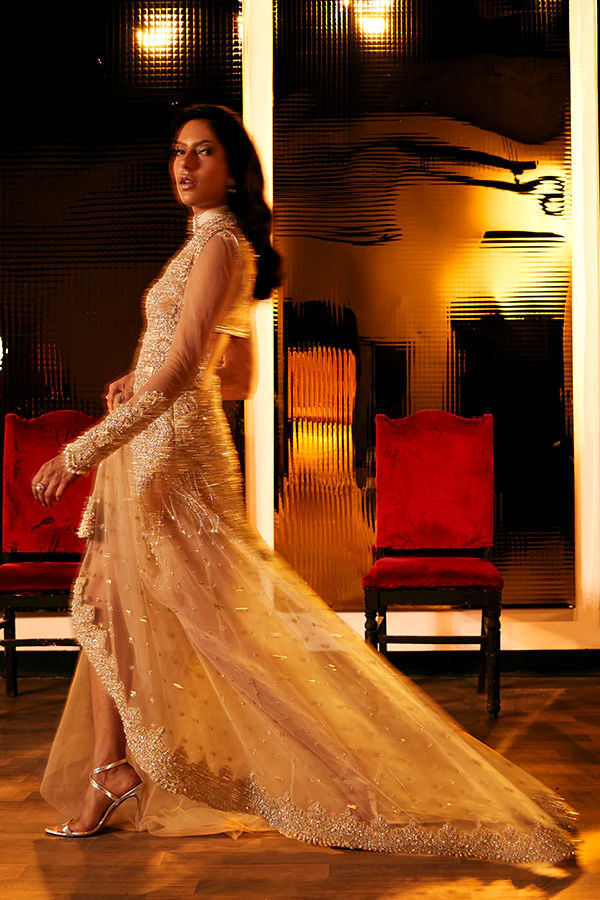 Champagne Zardozi Tulle Gown (2-Piece) - Image 2