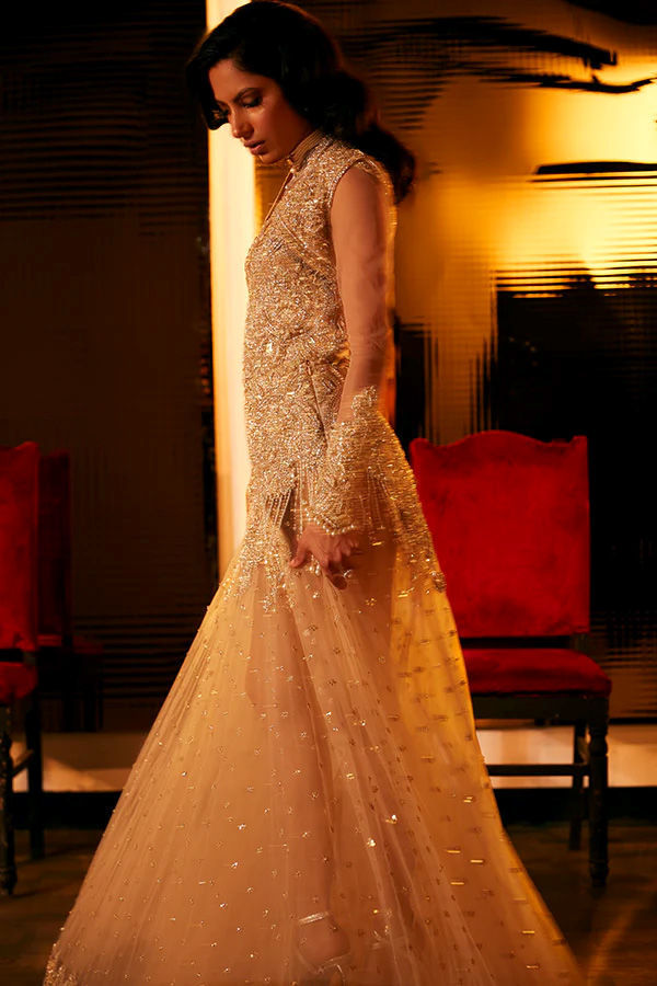 Champagne Zardozi Tulle Gown (2-Piece) - Image 3