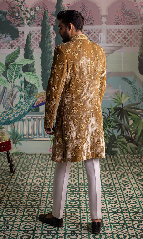 Gold Embellished Velvet Sherwani (2-Piece) - Image 4