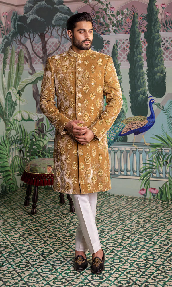 Gold Embellished Velvet Sherwani (2-Piece) - Image 5