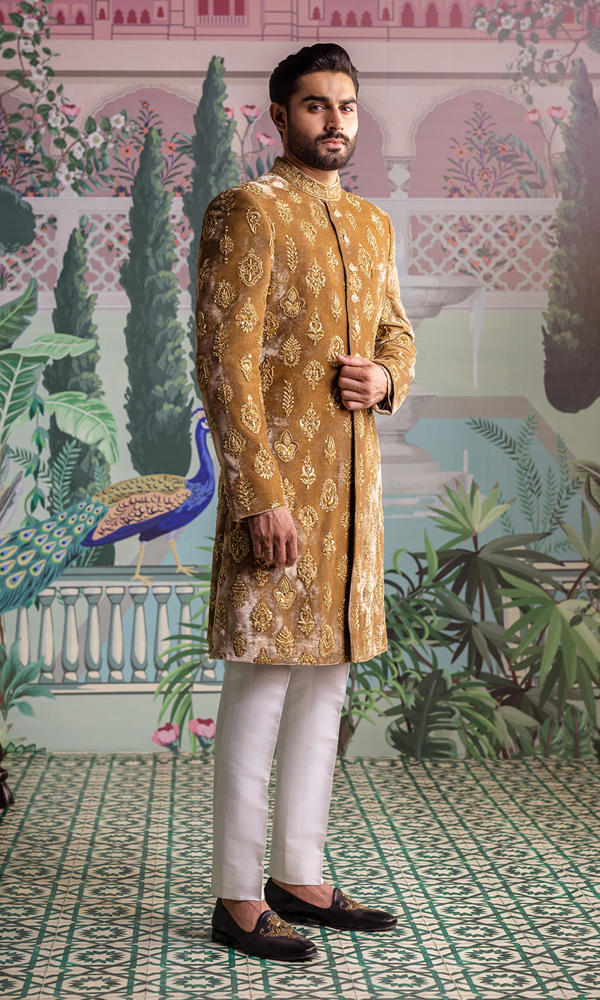 Gold Embellished Velvet Sherwani (2-Piece) - Image 6