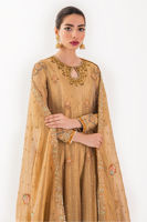 Pakistani Gold Zardozi Embroidered Shimmer Kalidar (3-Piece) - Image 3