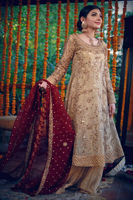 Pakistani Gold Embroidered Tissue Kalidaar Dress (3-Piece) - Image 2