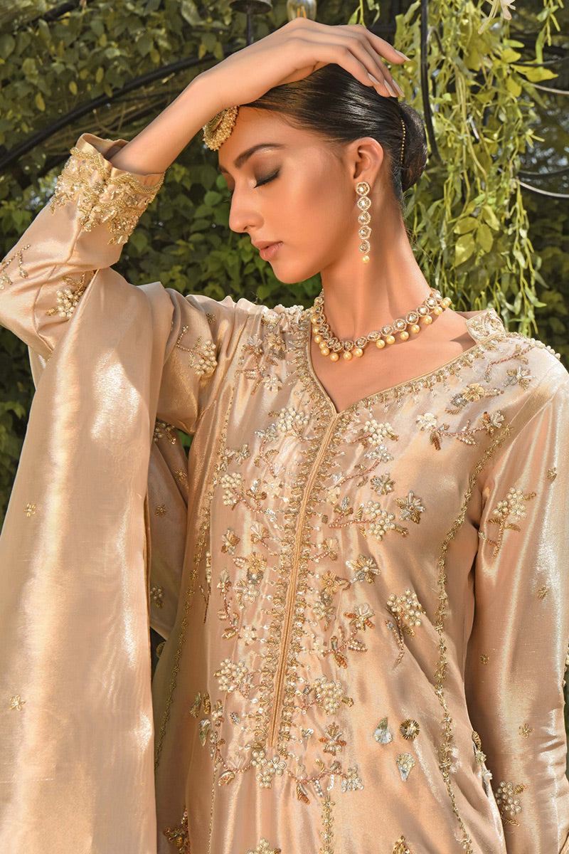 Pakistani Gold Zardozi Aari Mirror Work Tissue Kalidaar (3-Piece) - Image 2