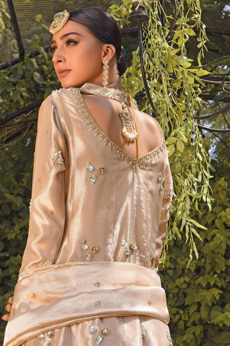 Pakistani Gold Zardozi Aari Mirror Work Tissue Kalidaar (3-Piece) - Image 6