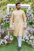 Golden Embroidered Cotton-Silk Kurta (2-Piece) - Image 4