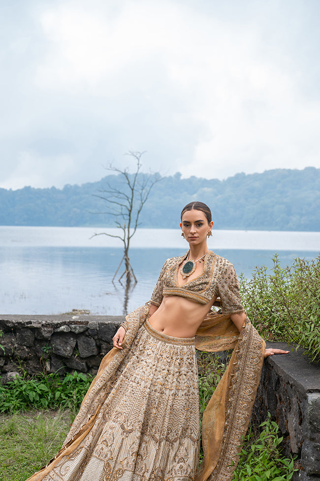 Pakistani Gold Embroidered Tissue Banarsi Bridal Lehenga Choli (3-Piece) - Image 6