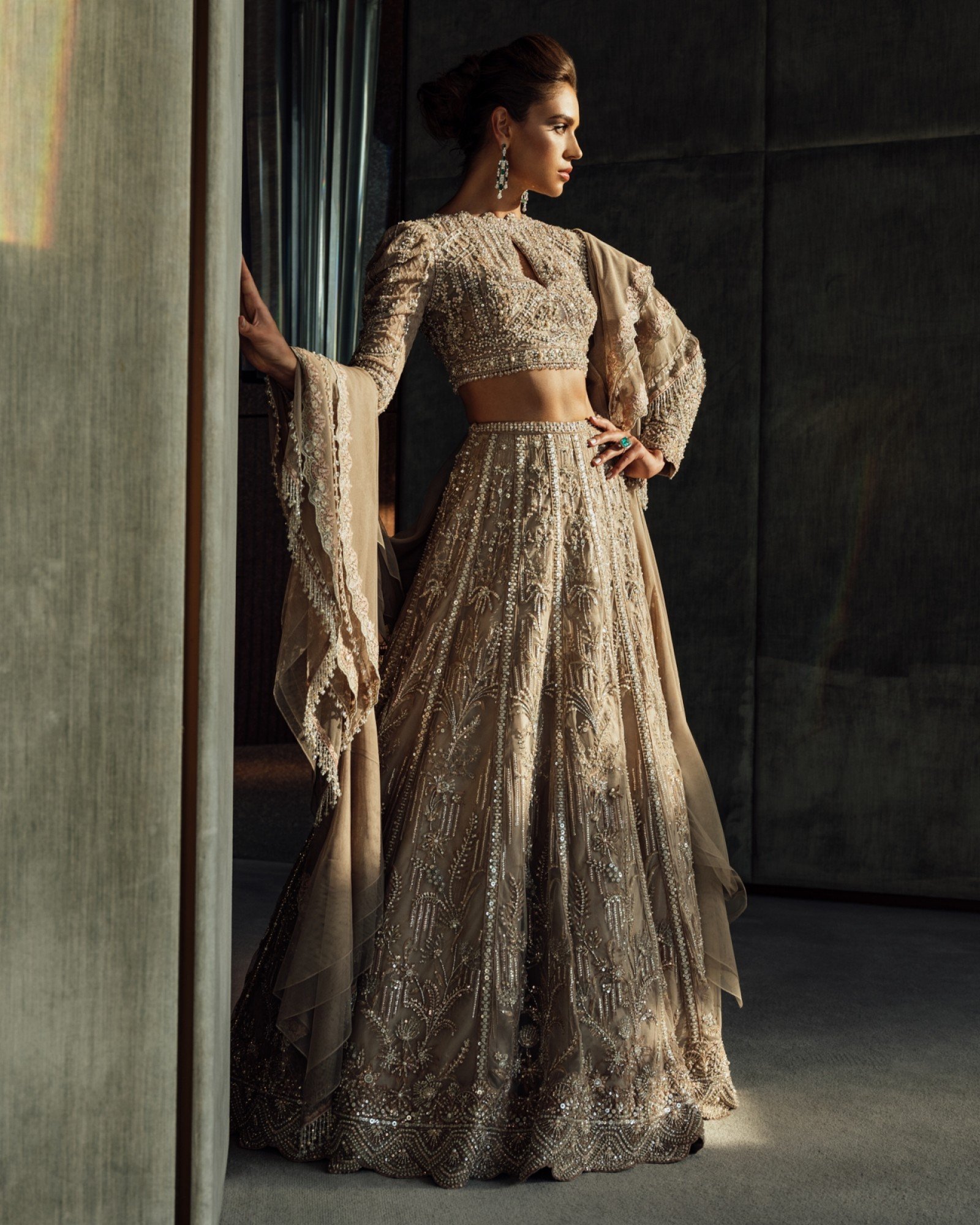 Champagne Embellished Net Lehenga Set (3-Piece) - Image 1