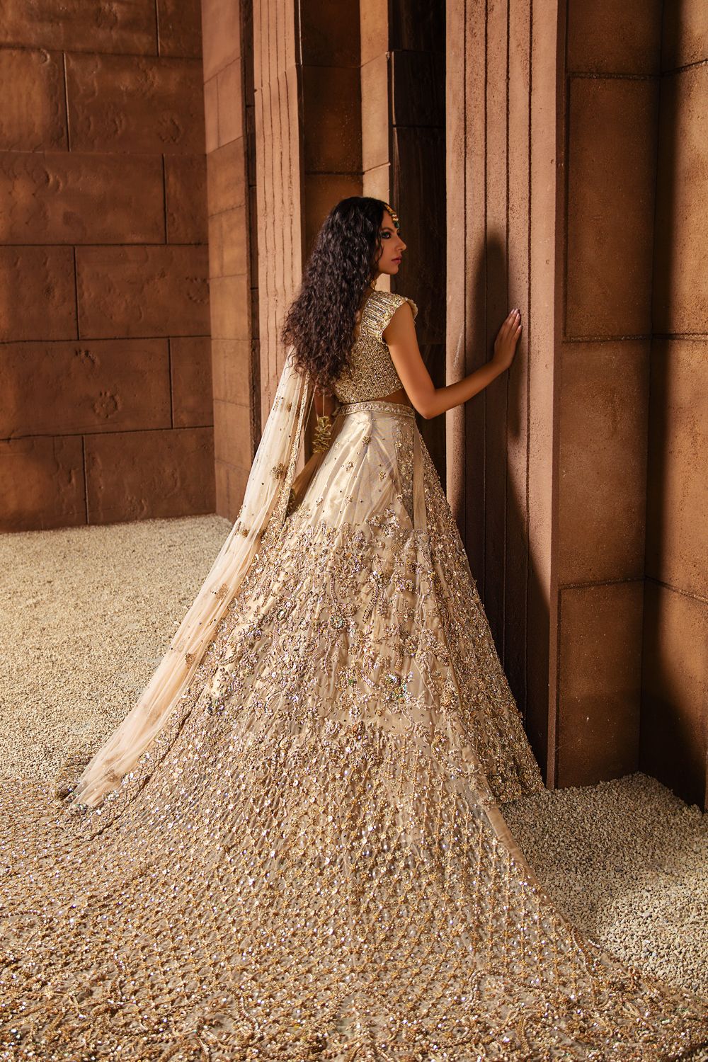 Champagne Embellished Net Bridal Lehenga (3-Piece) - Image 5
