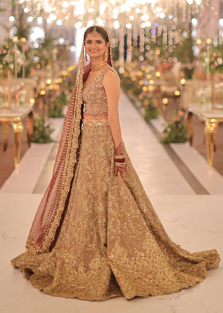 Antique Gold Embellished Net Organza Bridal Lehenga (3-Piece) - Image 1