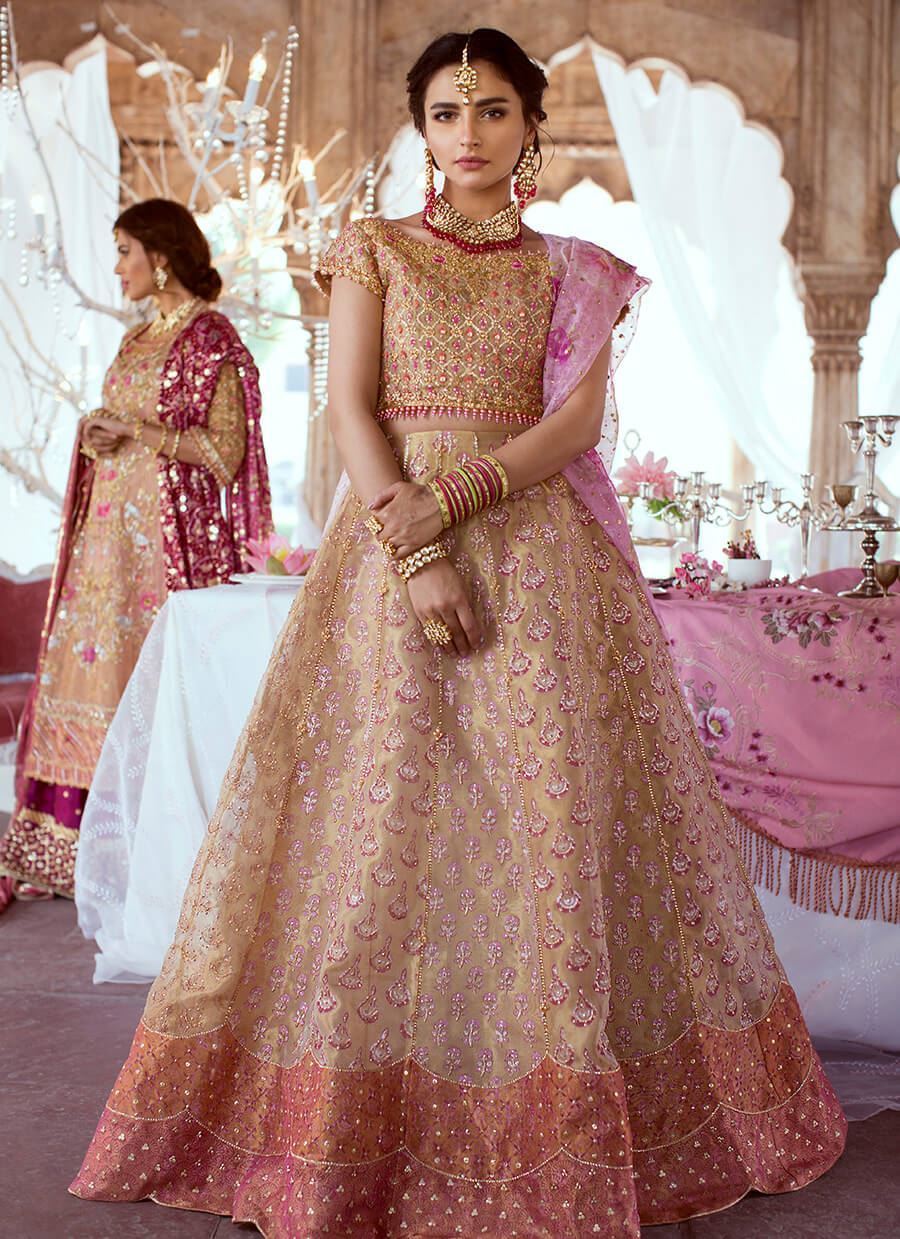 Pakistani Rose Gold Embroidered Net Lehenga Choli (3-Piece) - Image 1