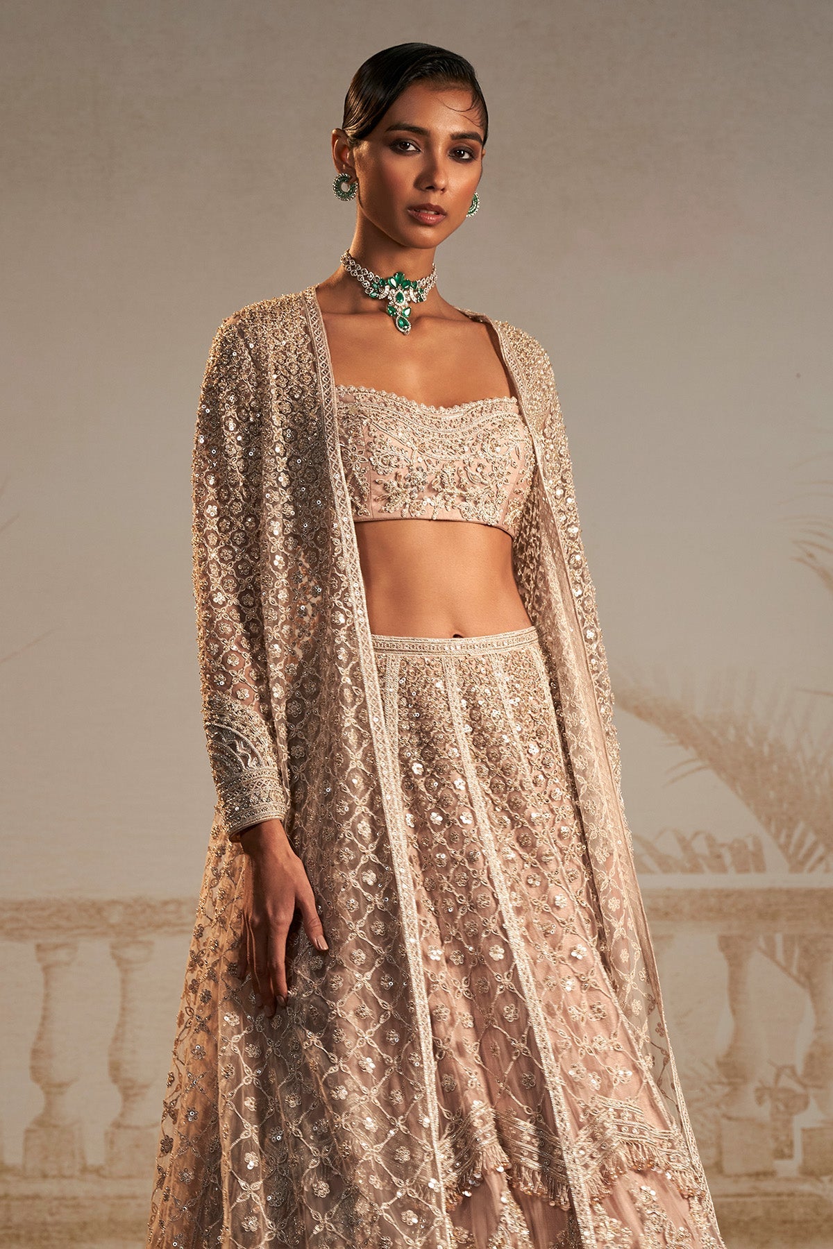 Champagne Embroidered Net Lehenga Set (3-Piece) - Image 2