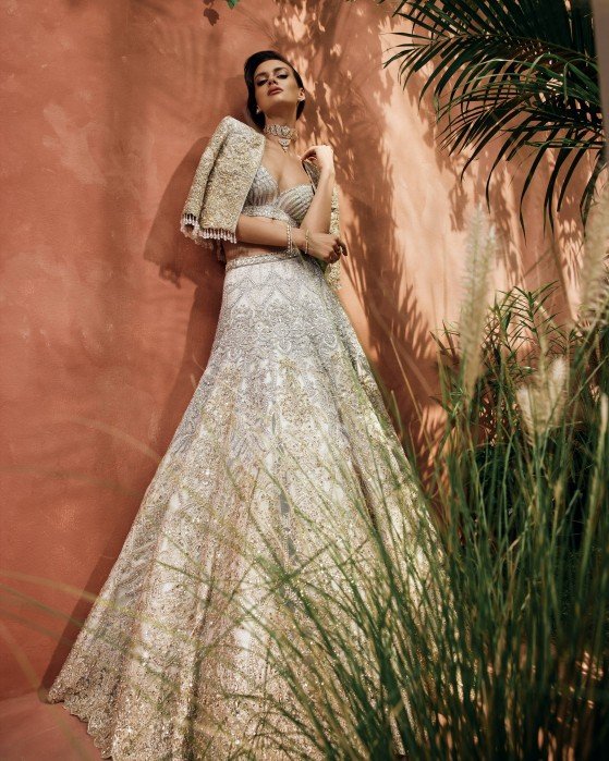 Pakistani Champagne Embellished Net Silk Mermaid Lehenga (2-Piece) - Image 11