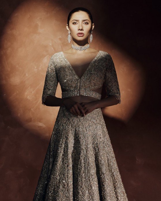 Pakistani Champagne Embellished Net Silk Mermaid Lehenga (2-Piece) - Image 13