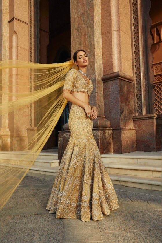 Pakistani Champagne Embellished Net Silk Mermaid Lehenga (2-Piece) - Image 22