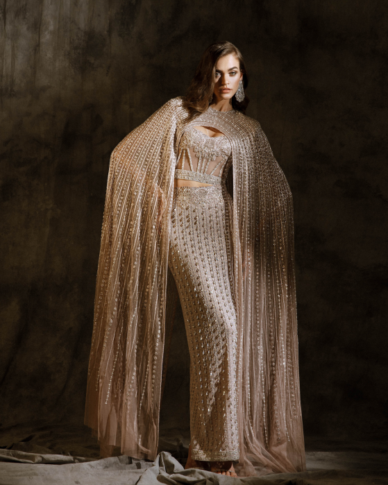 Pakistani Champagne Embellished Net Silk Mermaid Lehenga (2-Piece) - Image 7