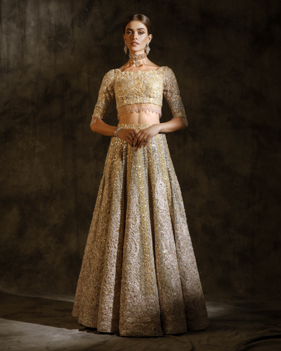 Pakistani Champagne Embellished Net Silk Mermaid Lehenga (2-Piece) - Image 8