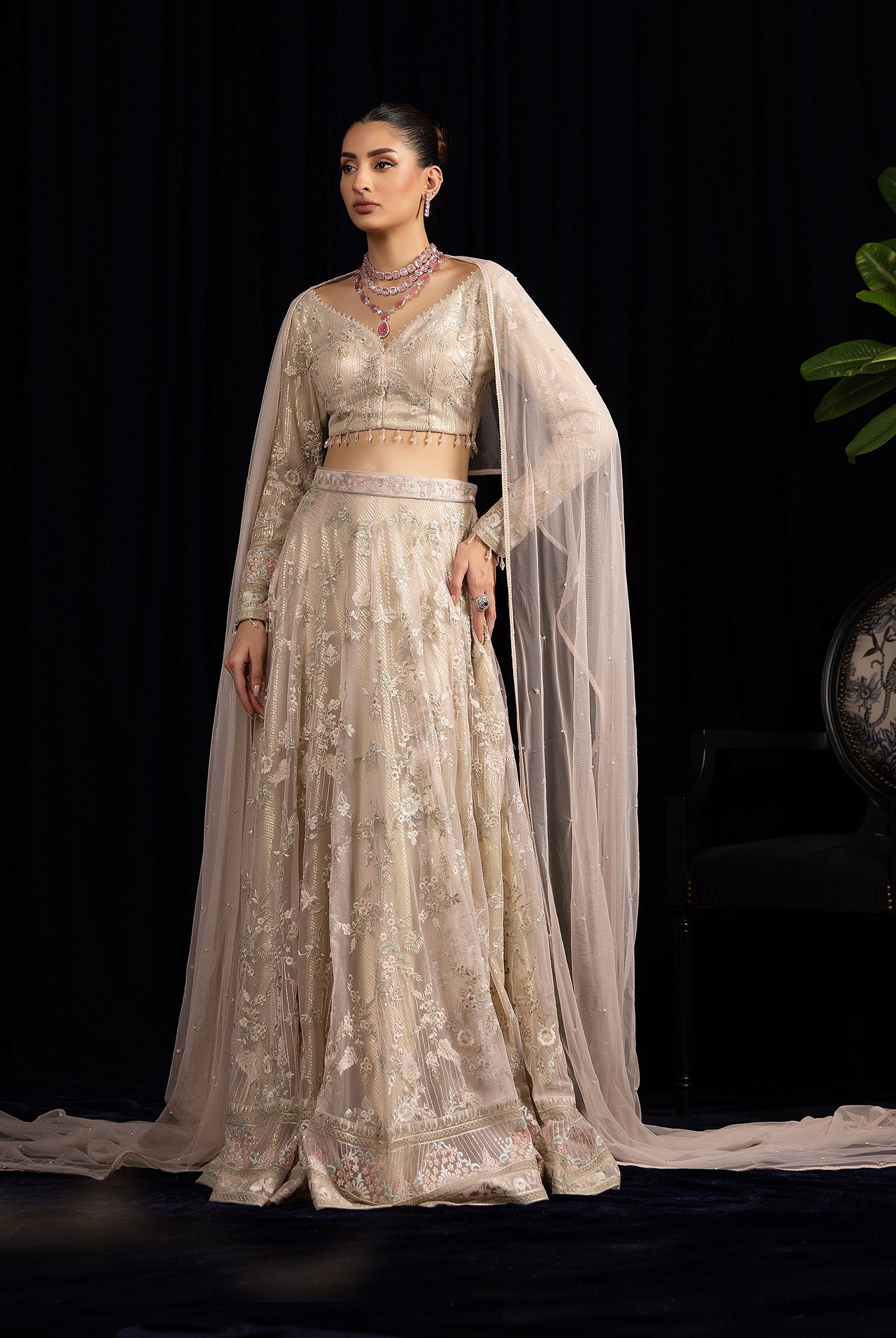 Pakistani Champagne Embroidered Net Lehenga Set (3-Piece) - Image 5