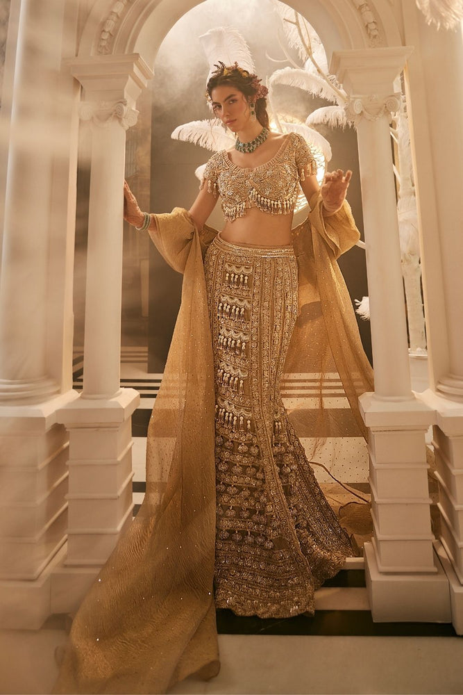 Gold Embellished Net Tissue Mermaid Lehenga (3-Piece) - Image 3