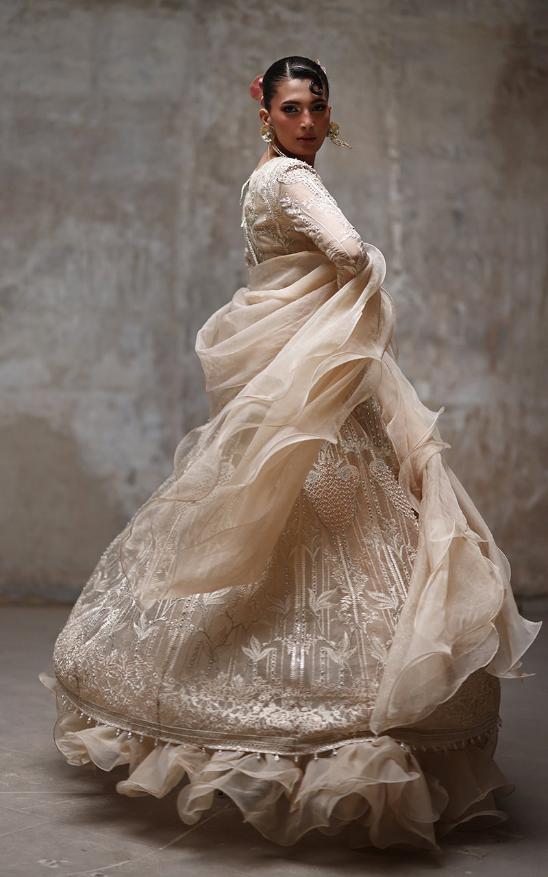 Champagne Embroidered Organza Lehenga Set (3-Piece) - Image 3