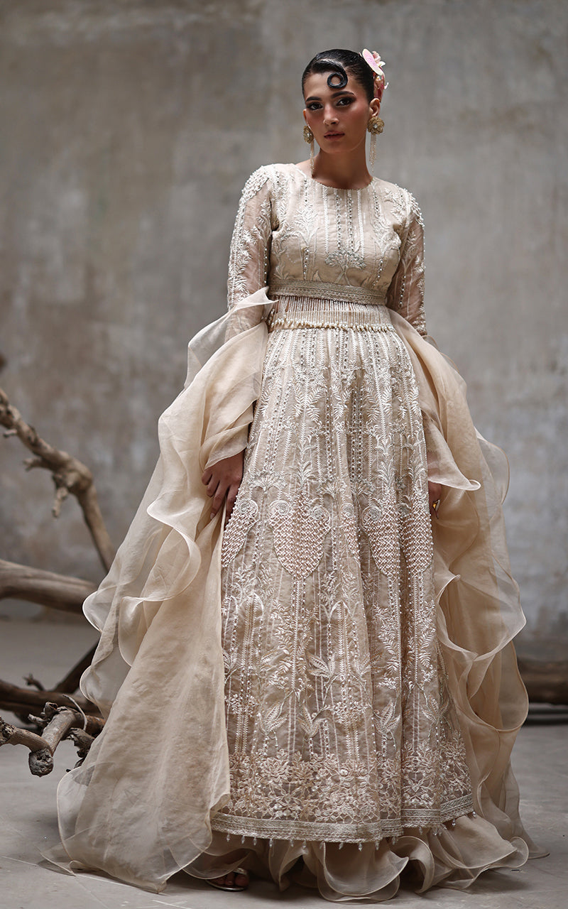 Champagne Embroidered Organza Lehenga Set (3-Piece) - Image 4