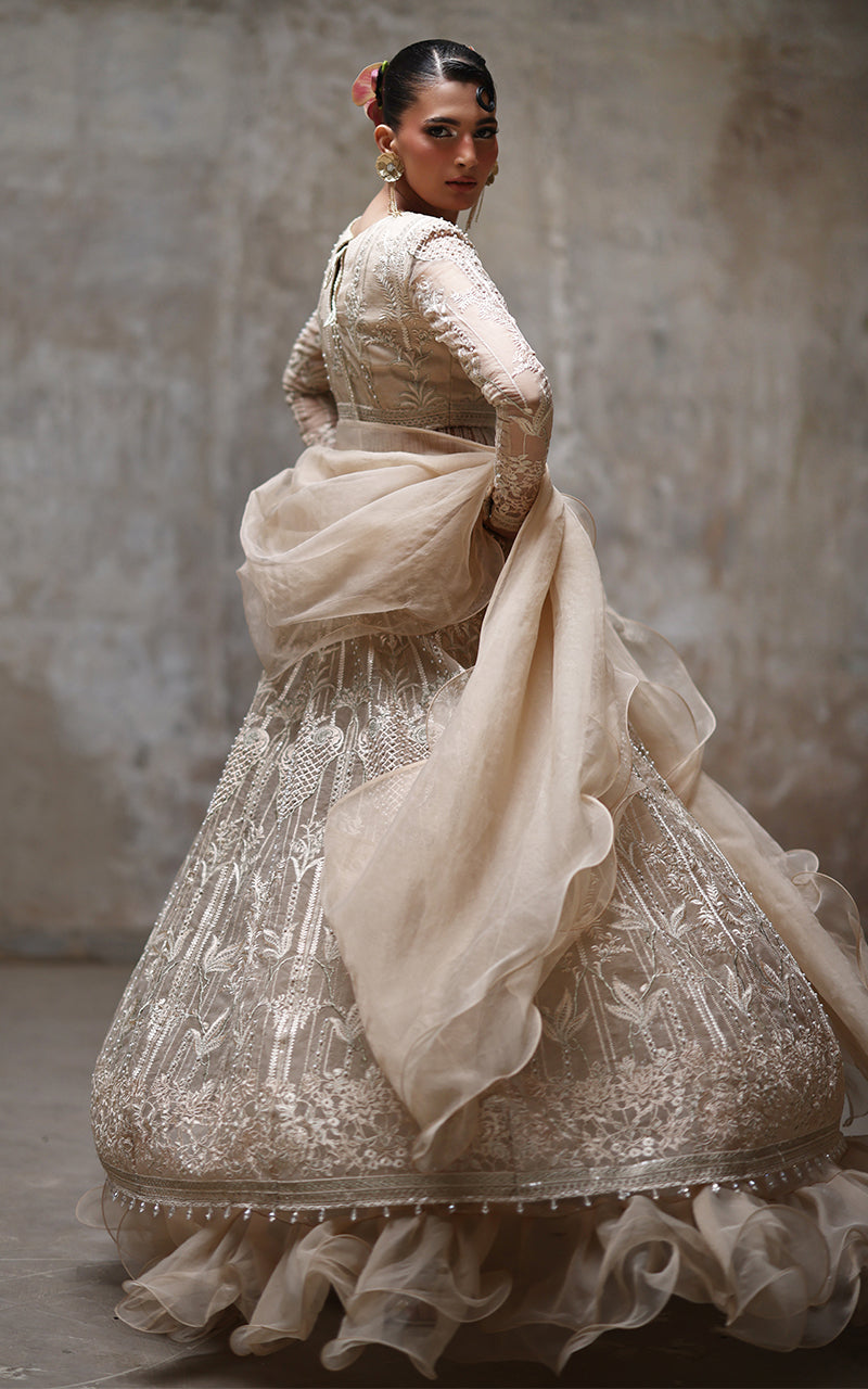 Champagne Embroidered Organza Lehenga Set (3-Piece) - Image 5