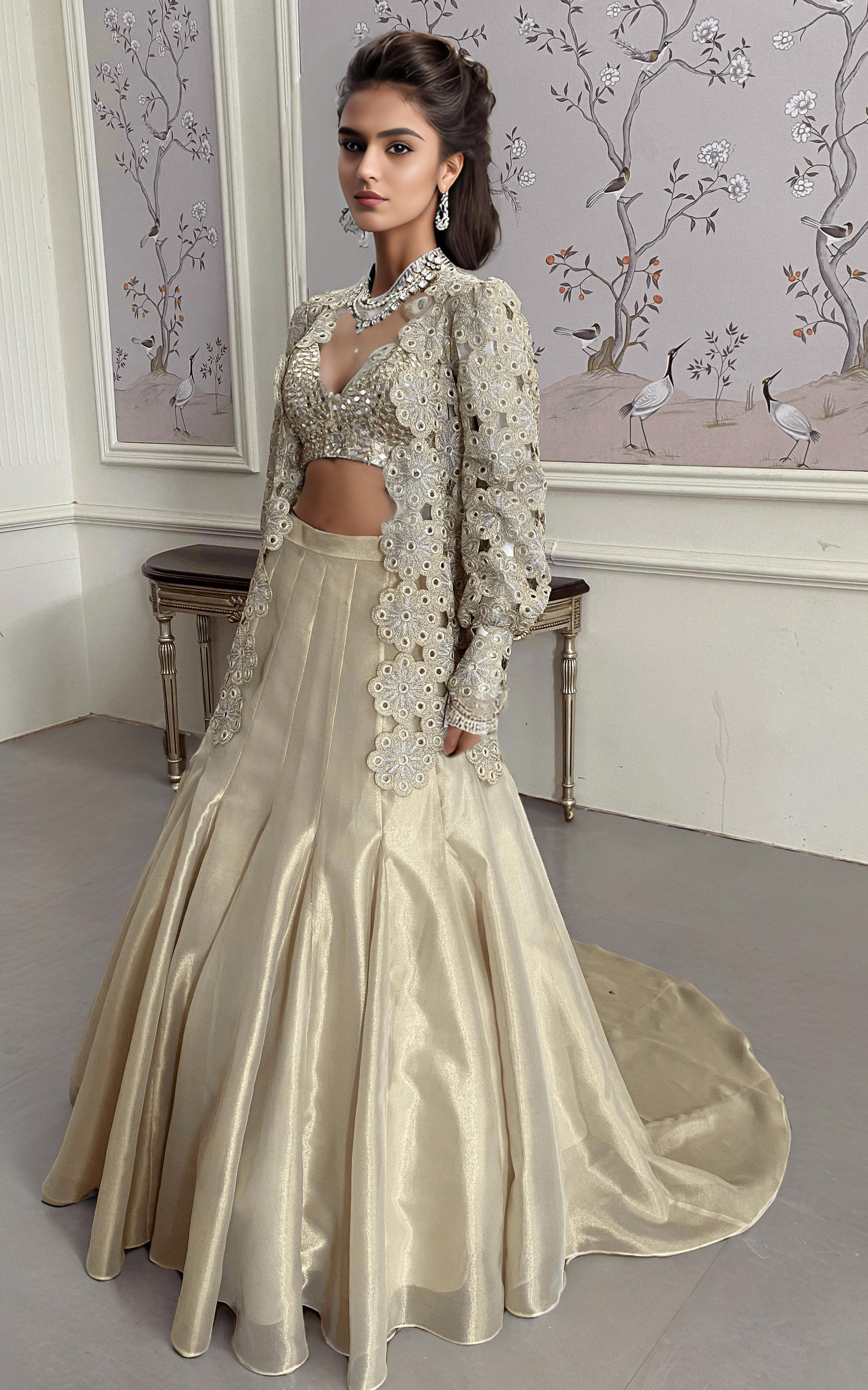 Pakistani Champagne Embroidered Organza Lehenga Set (3-Piece) - Image 3