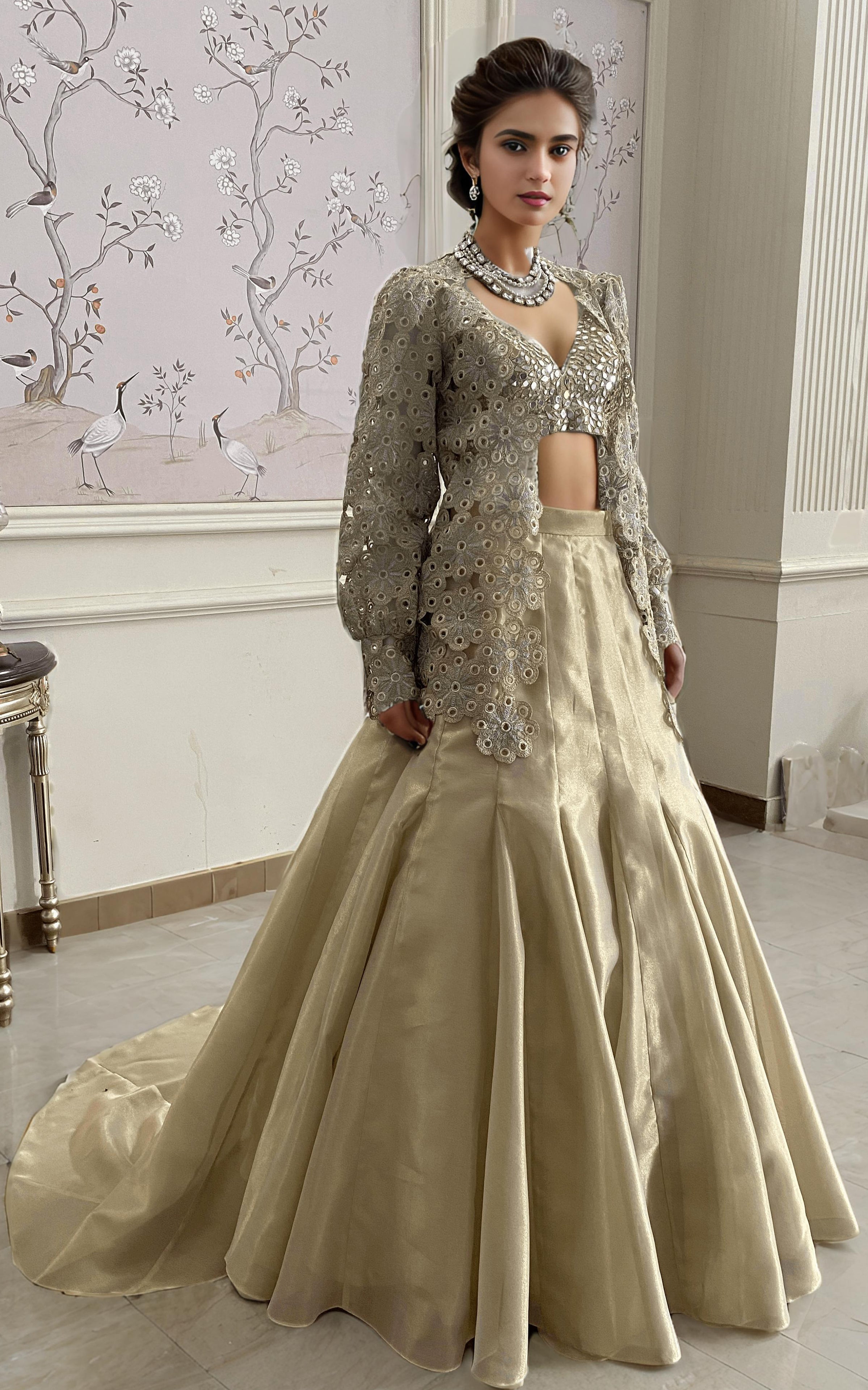 Pakistani Champagne Embroidered Organza Lehenga Set (3-Piece) - Image 4