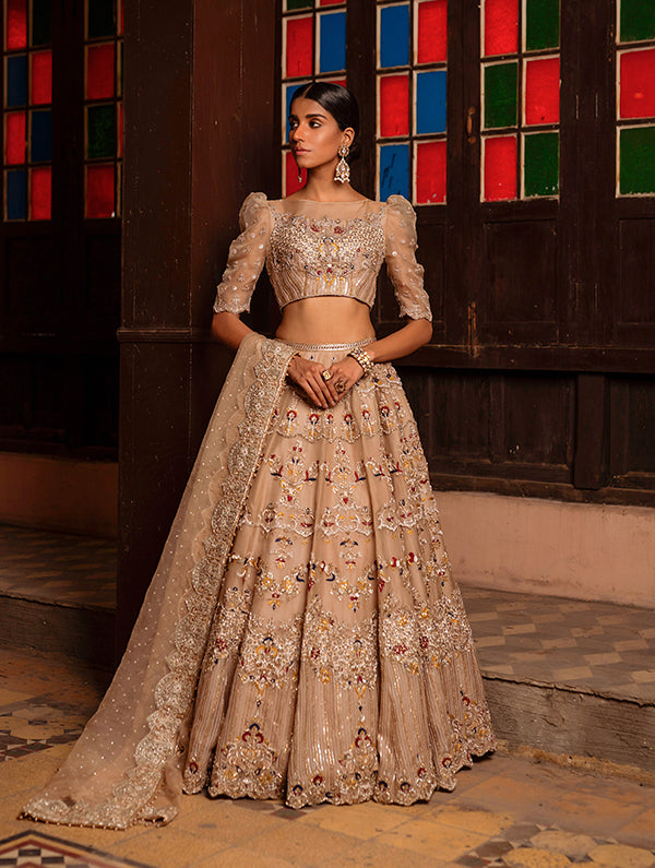 Champagne Hand-Embellished Organza Lehnga Choli (3-Piece) - Image 1