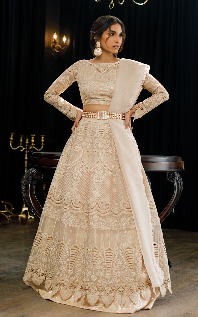 Pakistani Champagne Embroidered Organza Lehenga Set (3-Piece) - Image 1