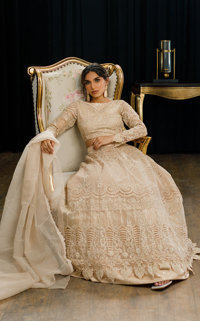 Pakistani Champagne Embroidered Organza Lehenga Set (3-Piece) - Image 3