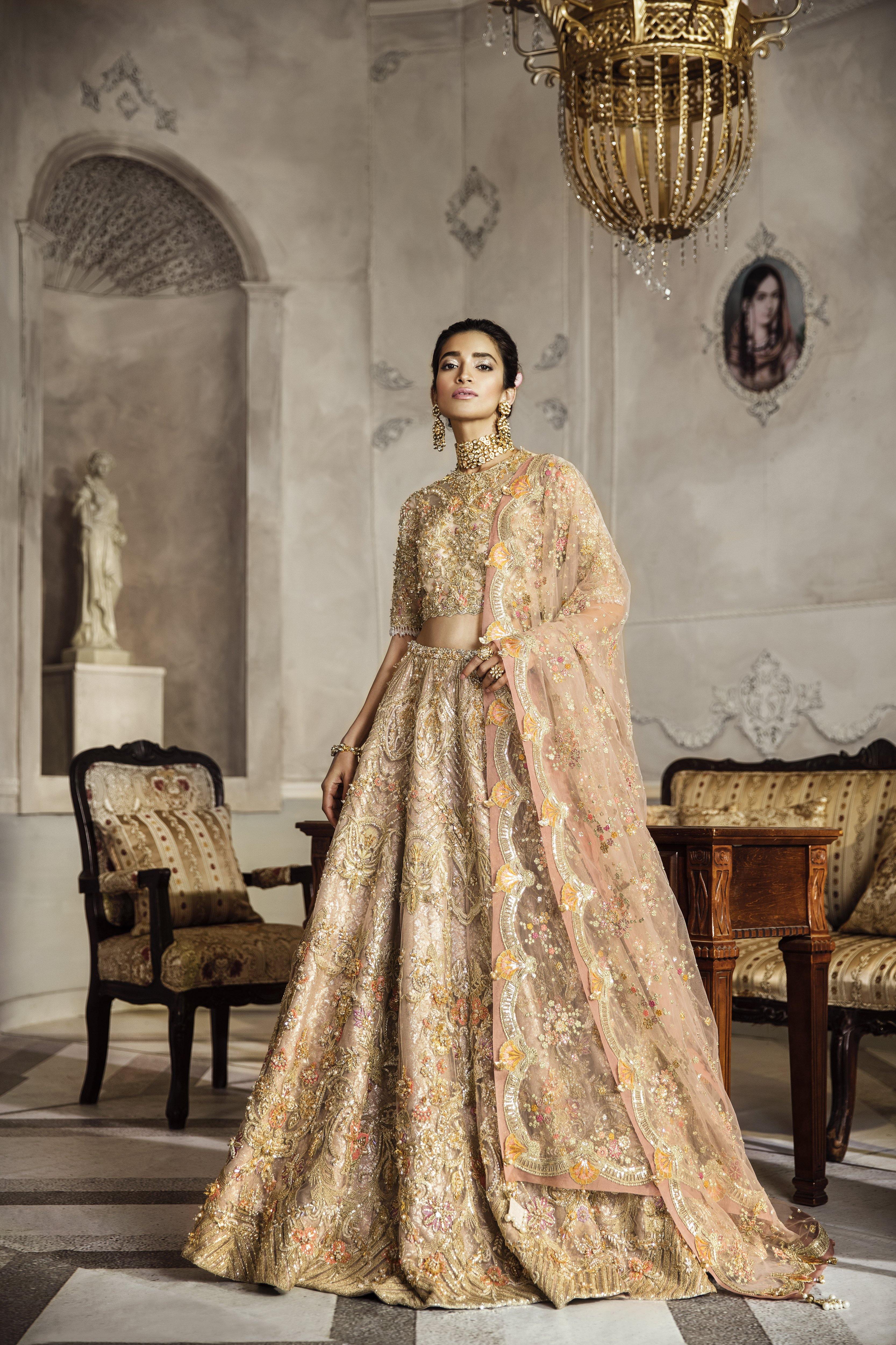 Pakistani Champagne Embellished Organza Choli & Tulle Lehenga (3-Piece) - Image 4