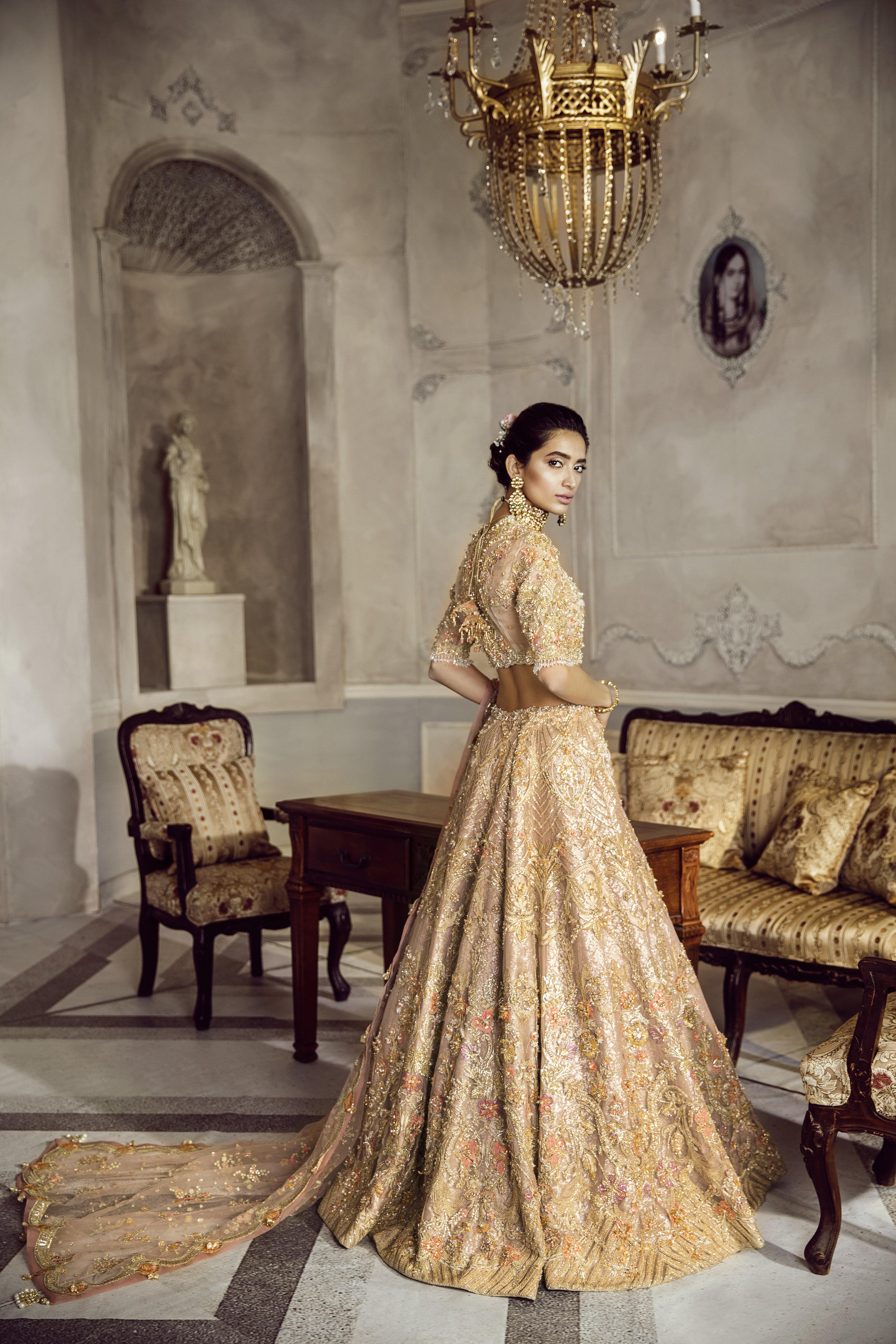 Pakistani Champagne Embellished Organza Choli & Tulle Lehenga (3-Piece) - Image 5