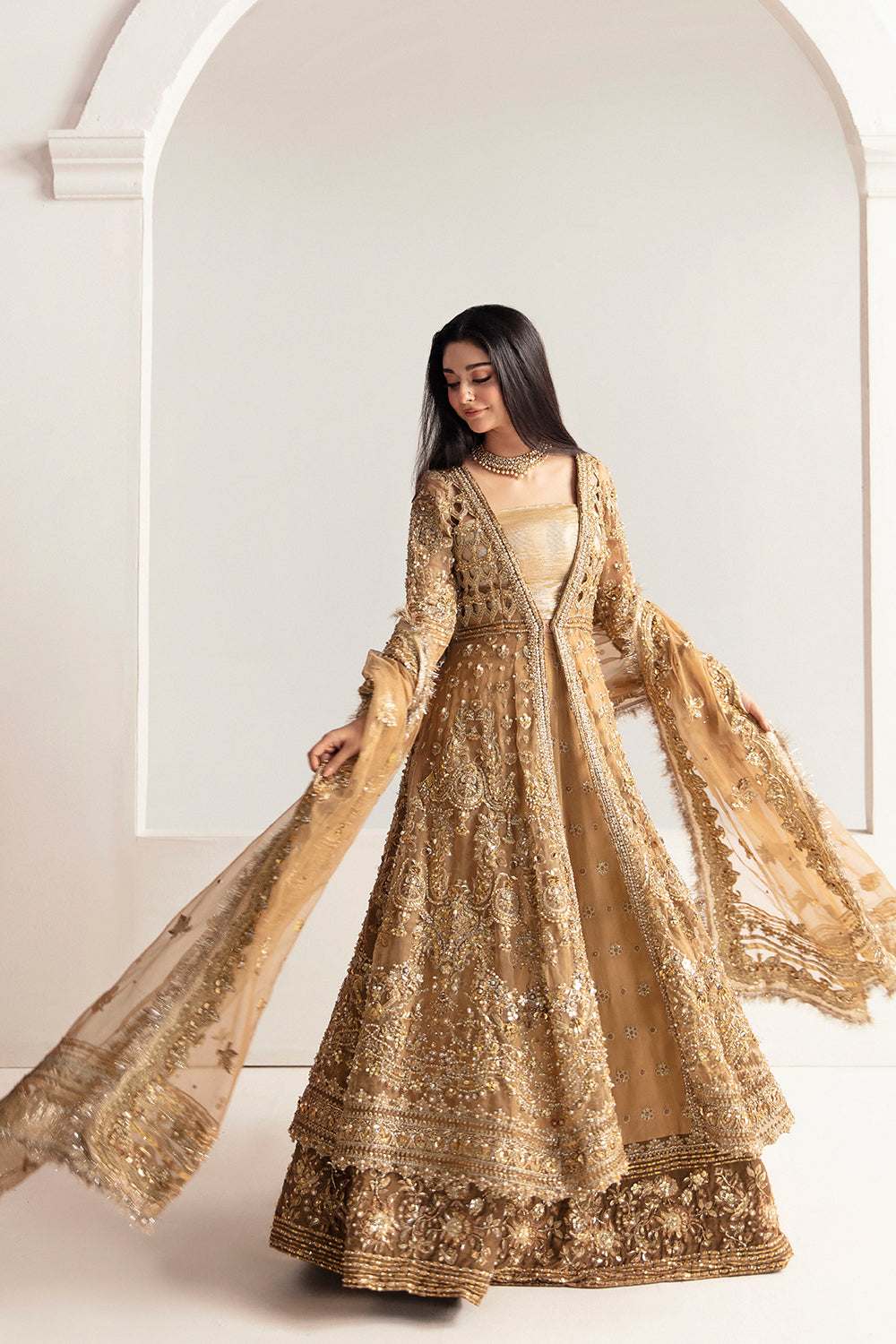 Pakistani Champagne Brown Hand Embellished Organza Pishwas (3-Piece) - Image 3