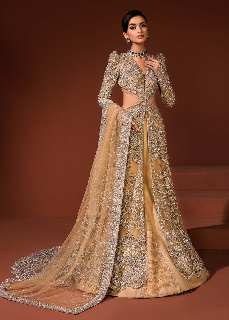 Pakistani Mustard Gold Embellished Net Gown with Raw Silk Lehenga (3-Piece) - Image 1