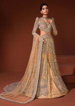 Pakistani Mustard Gold Embellished Net Gown with Raw Silk Lehenga (3-Piece) - Image 2