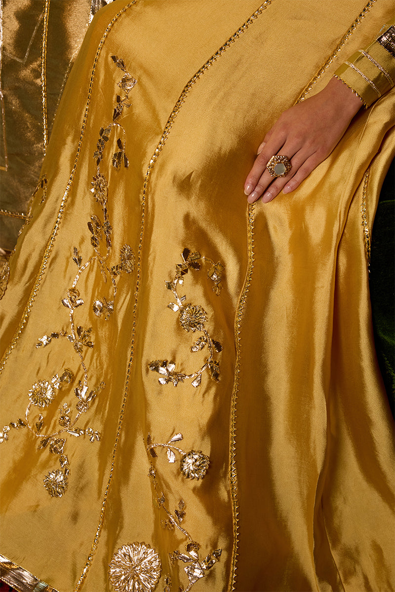 Golden Metallic Floral Sheesha Silk Lehenga (3-Piece) - Image 5
