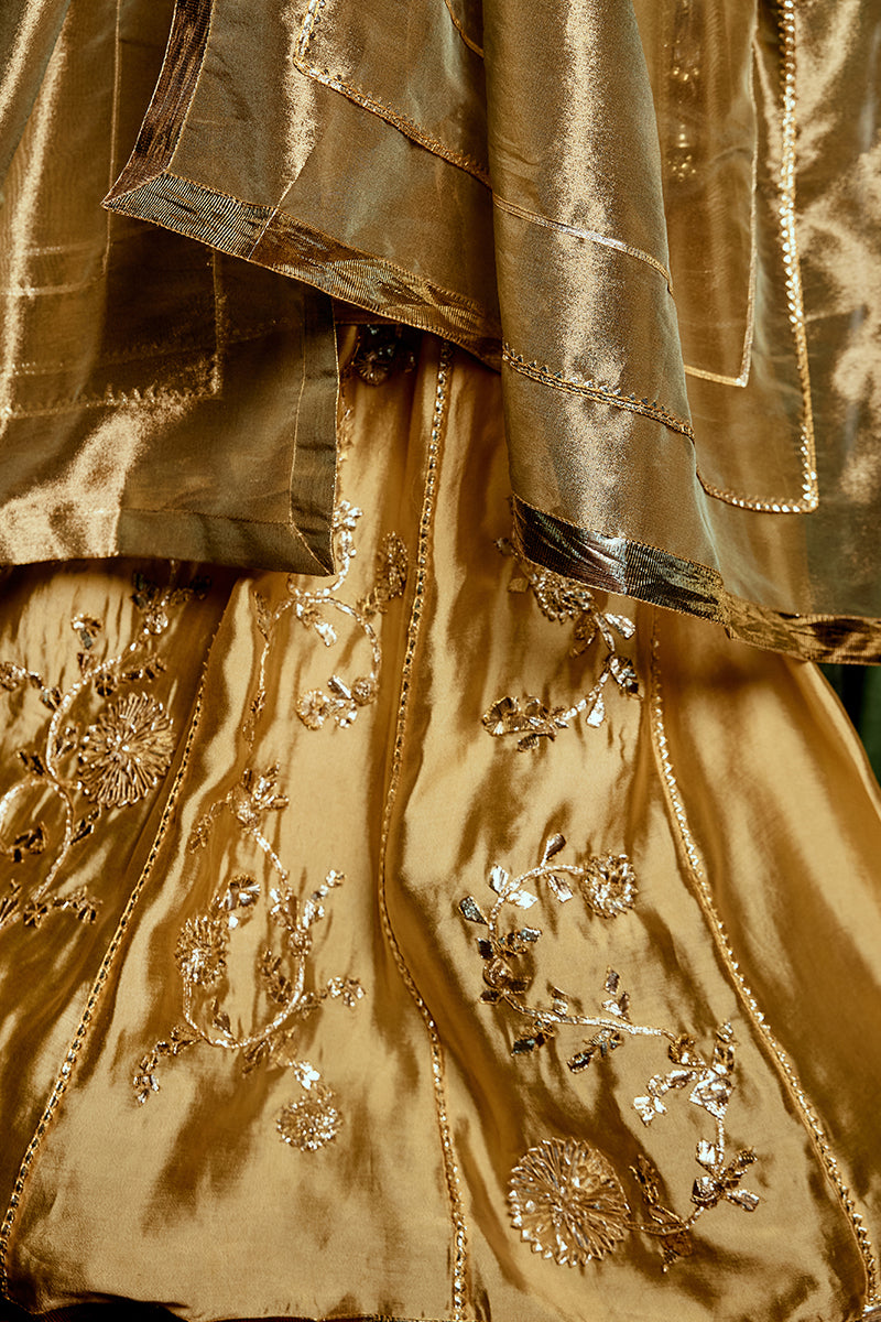 Golden Metallic Floral Sheesha Silk Lehenga (3-Piece) - Image 7