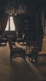 Indian Gold-Silver Embellished Tissue Silk Lehenga (3-Piece) - Image 7