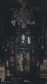 Indian Gold-Silver Embellished Tissue Silk Lehenga (3-Piece) - Image 8