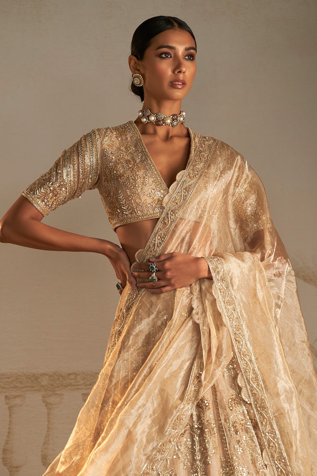 Gold Embroidered Net & Tissue Lehenga (3-Piece) - Image 11